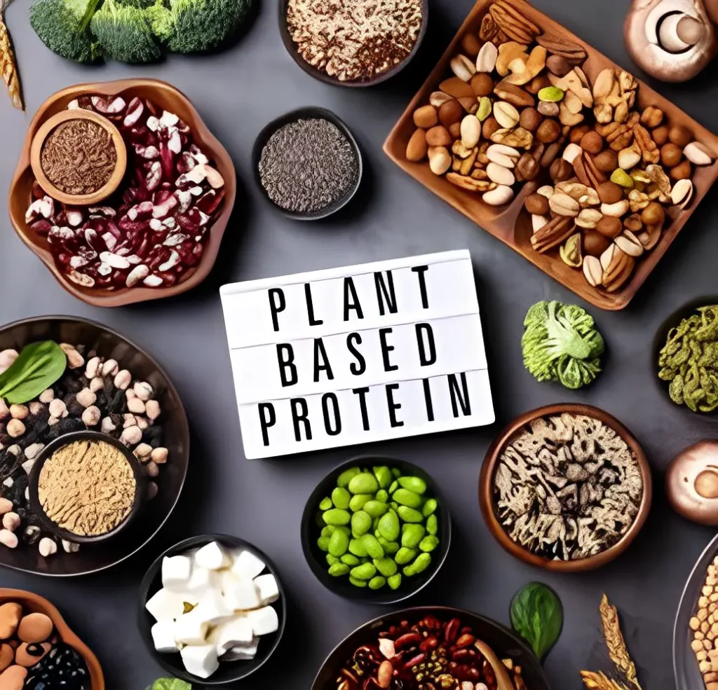 Plant Based Protein Puzzle